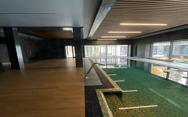 Swimming Pool Ceilings2